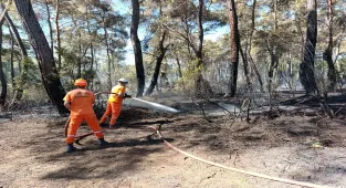 GÜNCELLEME - Antalya'nın Kumluca ilçesindeki yangın söndürüldü, Aksu'daki ise kontrol altına alındı