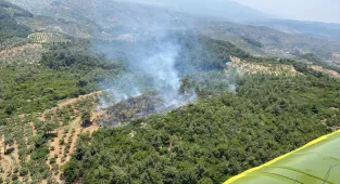 GÜNCELLEME - Aydın'ın Germencik ilçesinde ormanlık alanda çıkan yangın kontrol altında