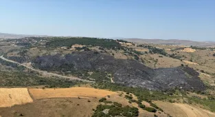 GÜNCELLEME - Balıkesir'de arazide çıkan yangın kontrol altına alındı