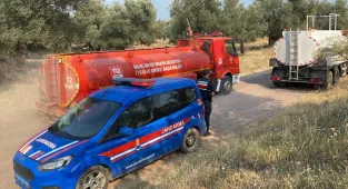GÜNCELLEME - Balıkesir'de zeytinlik alanda çıkan yangın kontrol altına alındı