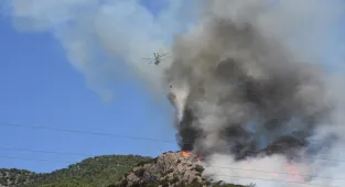 GÜNCELLEME - Bodrum'da çıkan orman yangınına müdahale ediliyor