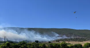 GÜNCELLEME - Bursa'nın Yenişehir ilçesinde çıkan orman yangınına müdahale ediliyor