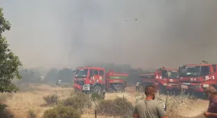 GÜNCELLEME - Çanakkale'de tarım arazisinde başlayıp ormana sıçrayan yangın kontrol altına alındı