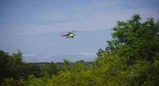 GÜNCELLEME - Edirne'de çıkan orman yangını kontrol altına alındı