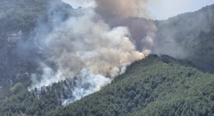 GÜNCELLEME - Hatay'da ormanlık alanda çıkan yangın kontrol altına alındı