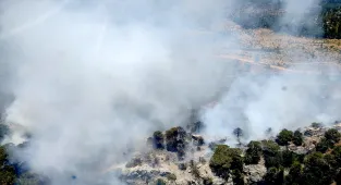 GÜNCELLEME - Mersin'de çıkan orman yangını kontrol altına alındı