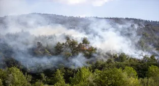 GÜNCELLEME - Sakarya'da çıkan orman yangınında söndürme ve soğutma çalışmaları sürüyor