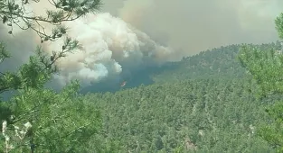 GÜNCELLEME - Sakarya'da ormanlık alanda çıkan yangın Bilecik tarafına sıçradı
