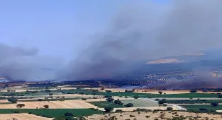 İzmir'de çıkan 2 orman yangını kontrol altına alındı
