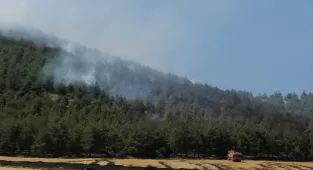 Kahramanmaraş'ın Dulkadiroğlu ilçesindeki orman yangını kontrol altına alındı