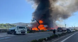Kocaeli'de palet fabrikasında çıkan yangına müdahale ediliyor