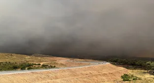 Manisa'nın Akhisar ilçesinde orman yangınına neden olan şüpheli tutuklandı