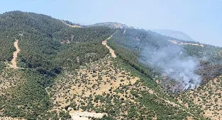 Manisa'nın Alaşehir ilçesinde ormanlık alanda yangın çıktı