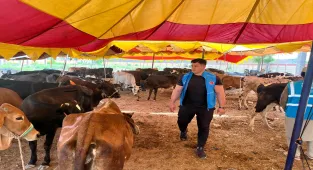 Milli güreşçi Rıza Kayaalp, TDV'nin Pakistan'daki kurban organizasyonuna katıldı