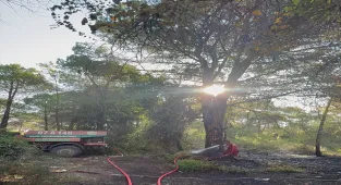 Serik ve Aksu'da çıkan yangınlar söndürüldü