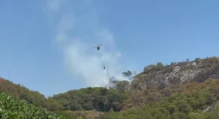 Antalya'da çıkan orman yangını söndürüldü
