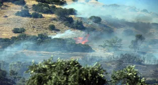  Aydın'da zeytinlik alanda çıkan yangına ilişkin baba ve oğlu gözaltına alındı