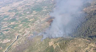 Aydın'ın Bozdoğan ilçesinde tarım alanında yangın çıktı