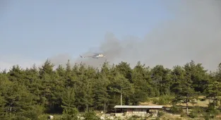 Balıkesir'de çıkan orman yangını kontrol altına alındı