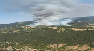 Balıkesir'de çıkan orman yangınına müdahale sürüyor