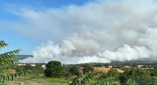 Bilecik'teki orman yangını büyük oranda kontrol altına alındı