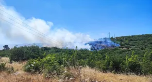 Bursa'nın 2 ilçesinde çıkan orman yangınına müdahale ediliyor