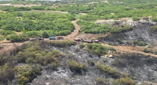 Bursa'nın Mustafakemalpaşa ilçesinde çıkan orman yangınına ilişkin 1 şüpheli tutuklandı