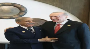 Cumhurbaşkanı Erdoğan, Pakistan Başbakanı Şerif ile görüştü