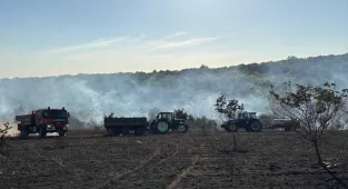 Edirne'de biçerdöverde başlayıp ormanlık alana sıçrayan yangın söndürüldü
