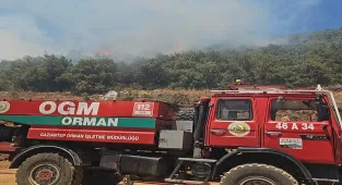 Gaziantep'te çıkan orman yangını kontrol altına alındı