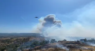 GÜNCELLEME 2 - Çanakkale'de çıkan orman yangınına müdahale ediliyor