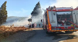 GÜNCELLEME 2 - Kocaeli'de ormanlık alanda çıkan yangın kontrol altına alındı