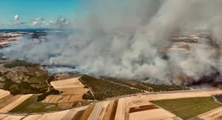 GÜNCELLEME 2 - Silivri'de ormanlık alandaki yangına müdahale sürüyor 