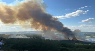 GÜNCELLEME 2 - Tekirdağ'da orman yangınına havadan ve karadan müdahale ediliyor