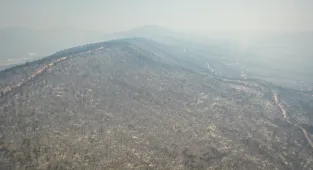 GÜNCELLEME 3 - Sakarya'dan Bilecik tarafına sıçrayan orman yangınına müdahale sürüyor