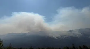 GÜNCELLEME 4 - Sakarya'dan Bilecik tarafına sıçrayan orman yangınına müdahale sürüyor