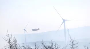 GÜNCELLEME 4 - Tekirdağ'da çıkan orman yangını Çanakkale'ye sıçradı