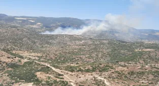 GÜNCELLEME - Aydın'da tarım alanı ve makilikte çıkan yangın kontrol altına alındı