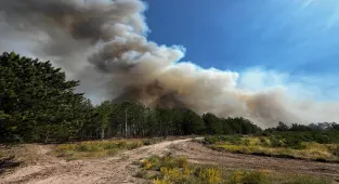 GÜNCELLEME - Balıkesir'de çıkan orman yangınına müdahale ediliyor