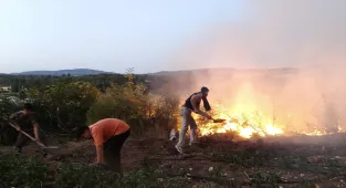 GÜNCELLEME - Balıkesir'de tavuk çiftliğinden ormana sıçrayan yangınla ilgili 2 zanlı tutuklandı