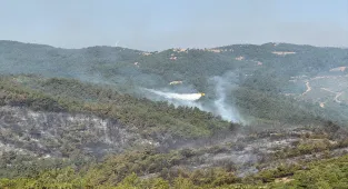 GÜNCELLEME - Balıkesir'deki orman yangını kontrol altına alındı