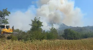 GÜNCELLEME - Bilecik'te ormanlık alana sıçrayan yangın büyük oranda kontrol altına alındı