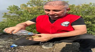 GÜNCELLEME - Bursa'nın Orhaneli-Harmancık hattındaki orman yangınına müdahale 5. gününde sürüyor