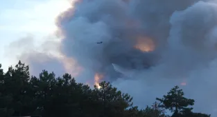 GÜNCELLEME - Bursa'nın Orhaneli ilçesindeki orman yangınına müdahale sürüyor