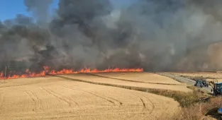 GÜNCELLEME - Çorum'da ekili alanda çıkan yangın kontrol altına alındı