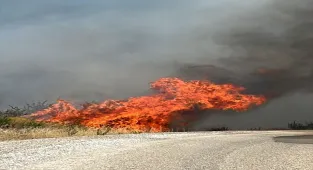 GÜNCELLEME - Denizli'de çıkan orman yangını kontrol altına alındı