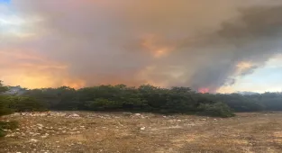 GÜNCELLEME - Eskişehir'de çıkan orman yangını kontrol altına alındı