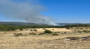 GÜNCELLEME - Eskişehir'de ormanlık alanda çıkan yangına müdahale ediliyor