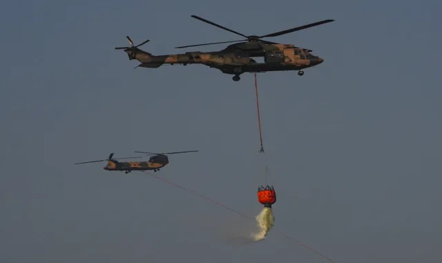 GÜNCELLEME - İzmir'de çıkan orman yangını kontrol altına alındı