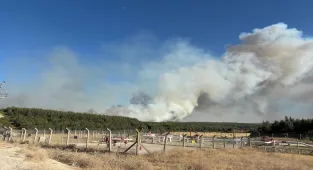 GÜNCELLEME - İzmir'in Buca ilçesindeki orman yangınına müdahale ediliyor